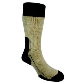 Women's 1 Pair Comfort Summit Socks
