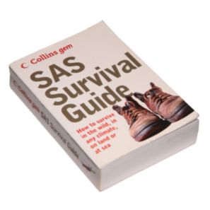 SAS Survival Guide