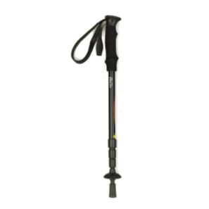 Compact Walking Pole