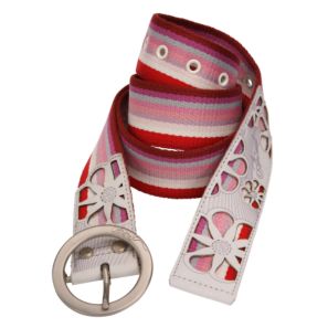 Women's Shimmer Stripe Web Belt