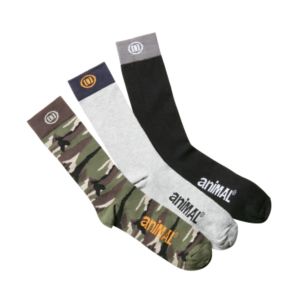 Men's Quail 3 Pack Trainer Socks