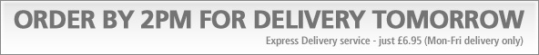 Express Delivery Service