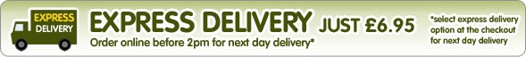 Express Delivery is here!