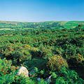 Pembrokeshire