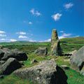 Preseli Hills