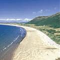 The Gower